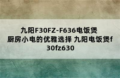 九阳F30FZ-F636电饭煲 厨房小电的优雅选择 九阳电饭煲f30fz630